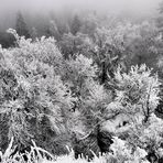 Wintereinbruch im Fichtelgebirge