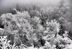 Wintereinbruch im Fichtelgebirge