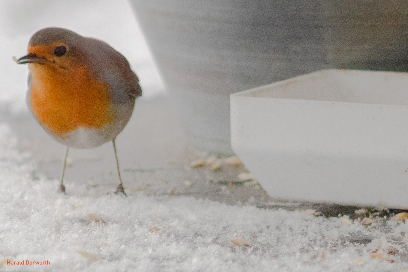 Wintereinbruch im Frühling