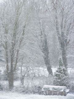 *~Wintereinbruch im Frühling~*