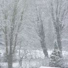 *~Wintereinbruch im Frühling~*