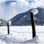 Wintereinbruch im Frühling