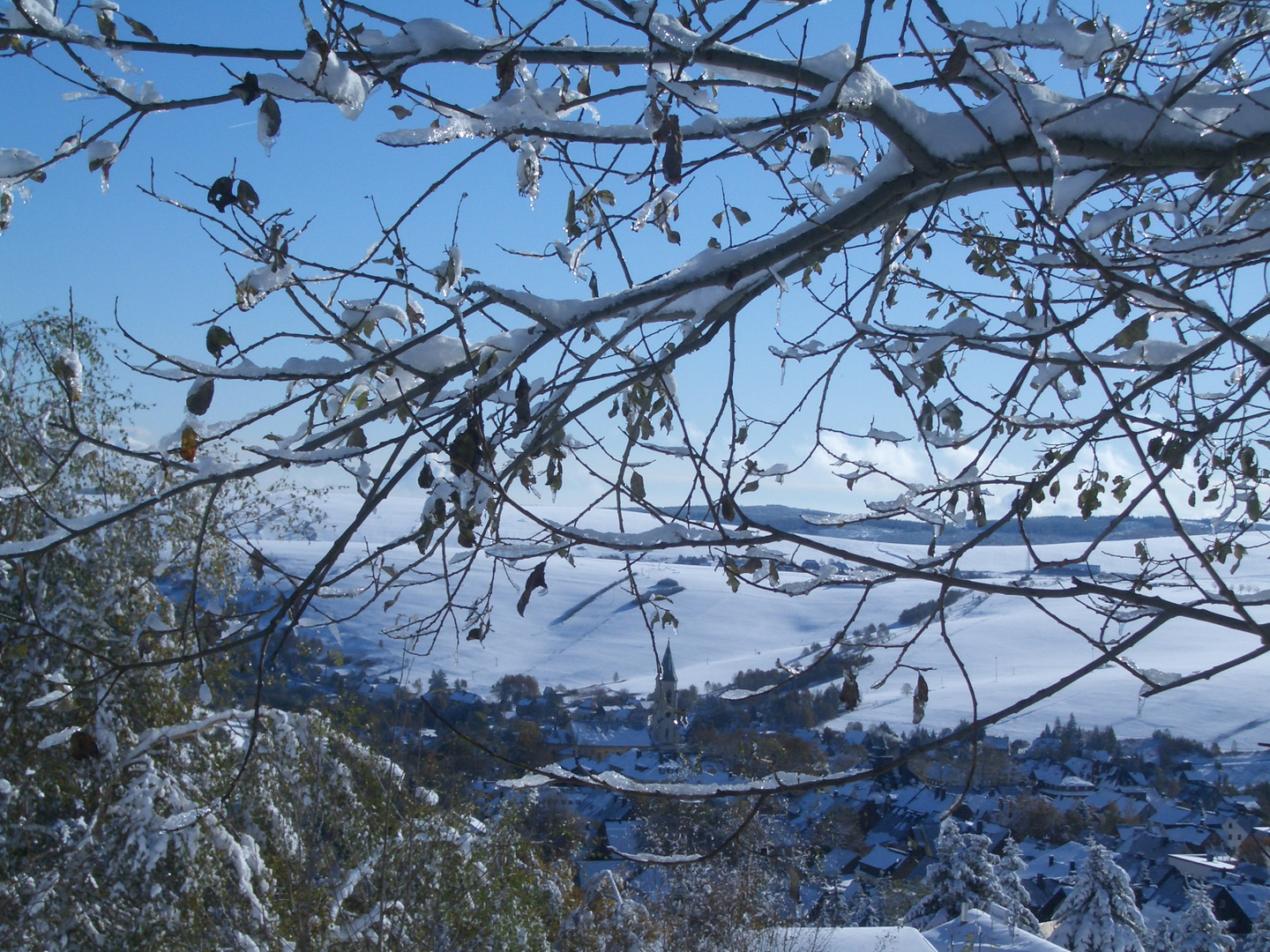 Wintereinbruch im Herbst 2009