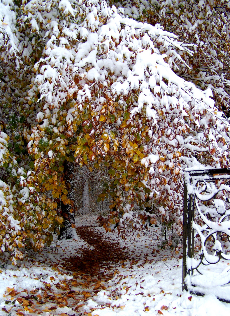 Wintereinbruch im Herbst