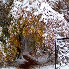 Wintereinbruch im Herbst