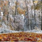 Wintereinbruch im Herbst