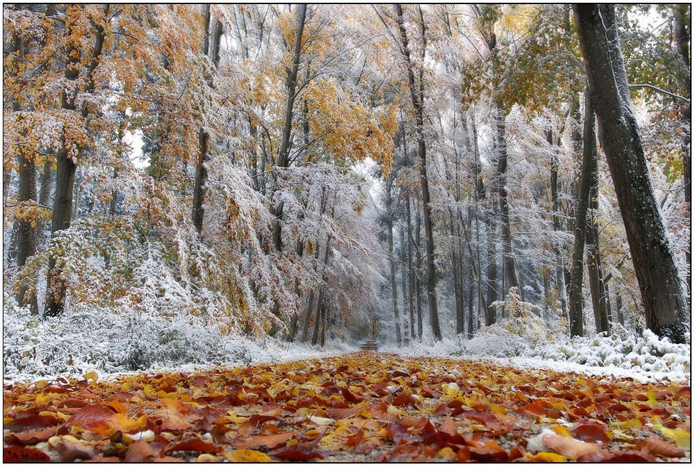 Wintereinbruch im Herbst