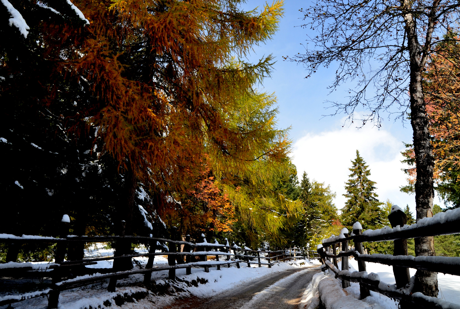 Wintereinbruch im Herbst