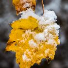 Wintereinbruch im Herbst