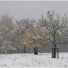 Wintereinbruch im Herbst