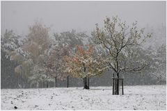 Wintereinbruch im Herbst