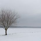 Wintereinbruch im März