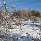 Wintereinbruch im November bei Wismar!