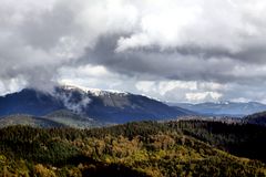 Wintereinbruch im Schwarzwald