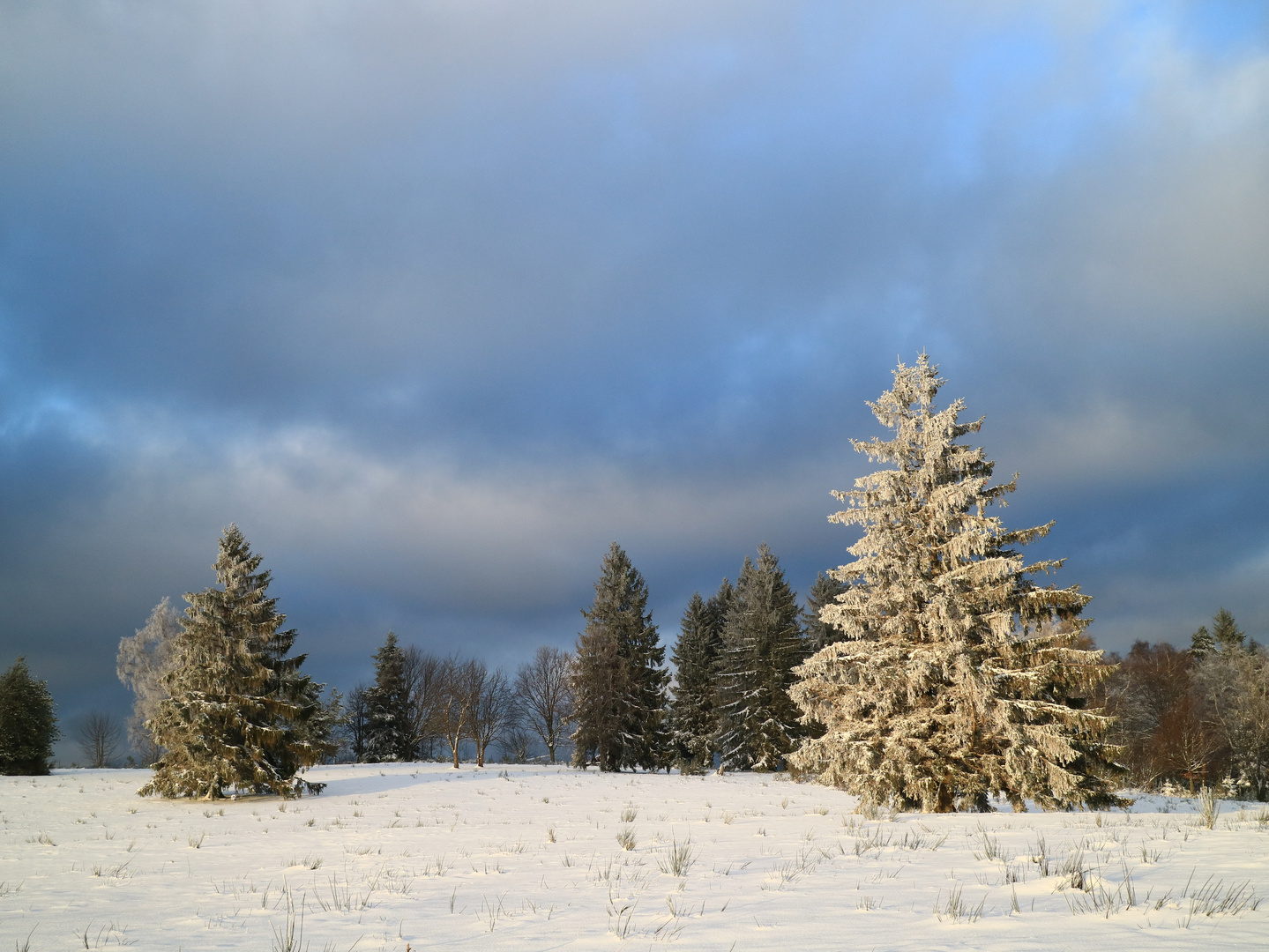 Wintereinbruch im Schwarzwald