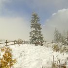 °°°° Wintereinbruch im Schwarzwald °°°°