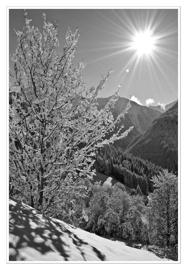 Wintereinbruch im Silbertal