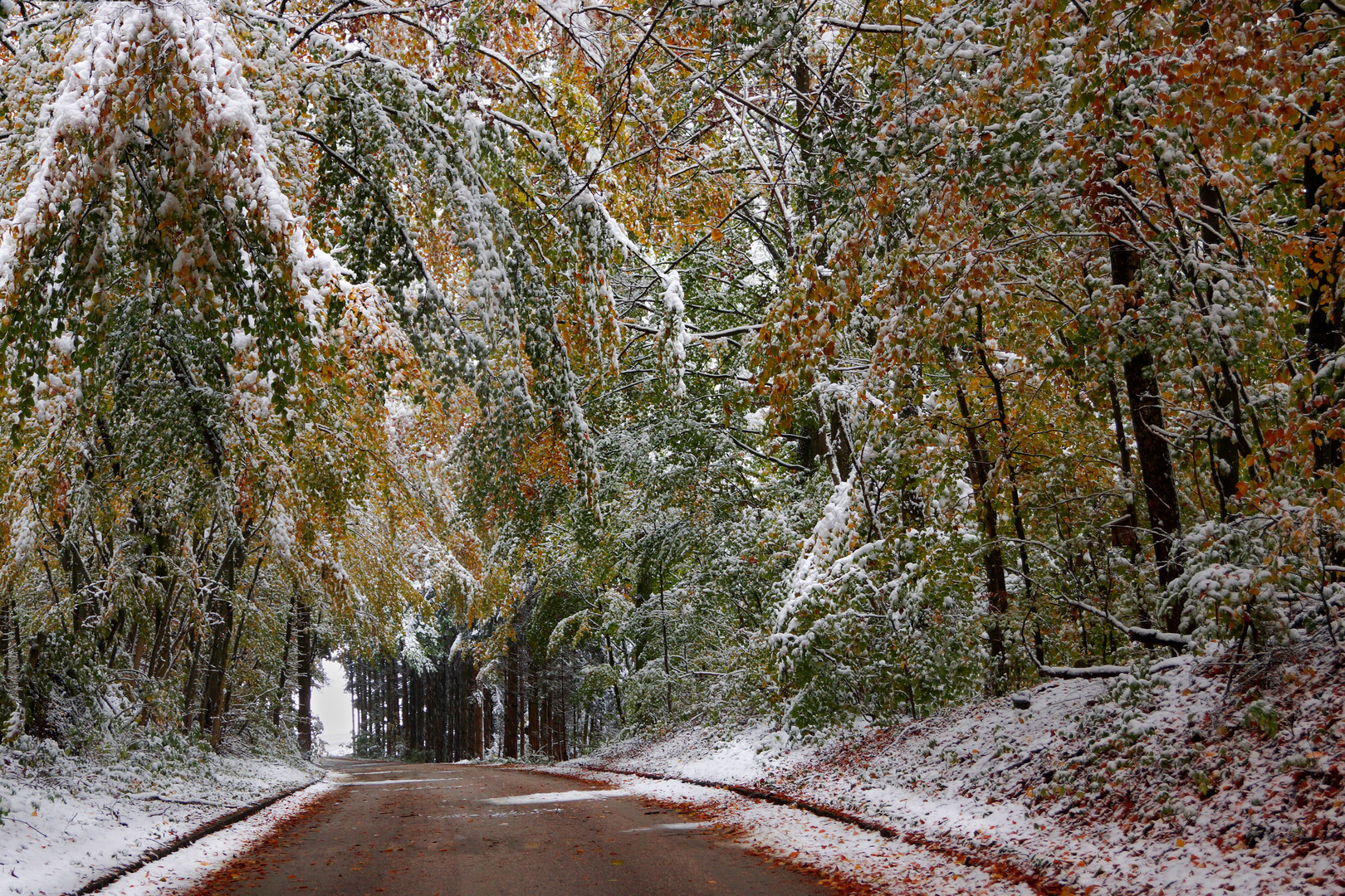 Wintereinbruch im Spähtherbst