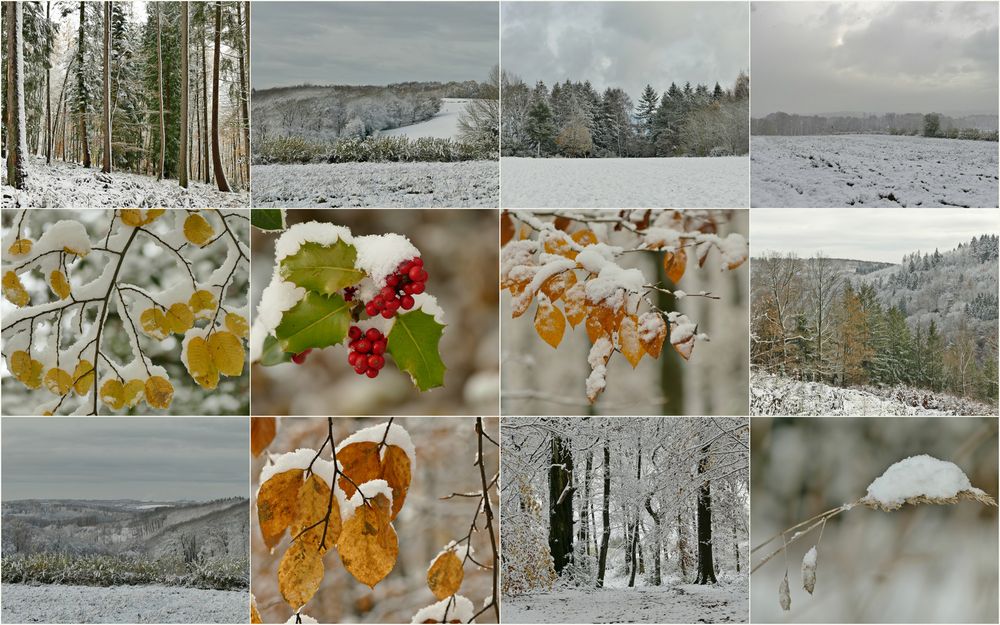 Wintereinbruch im Spätherbst.