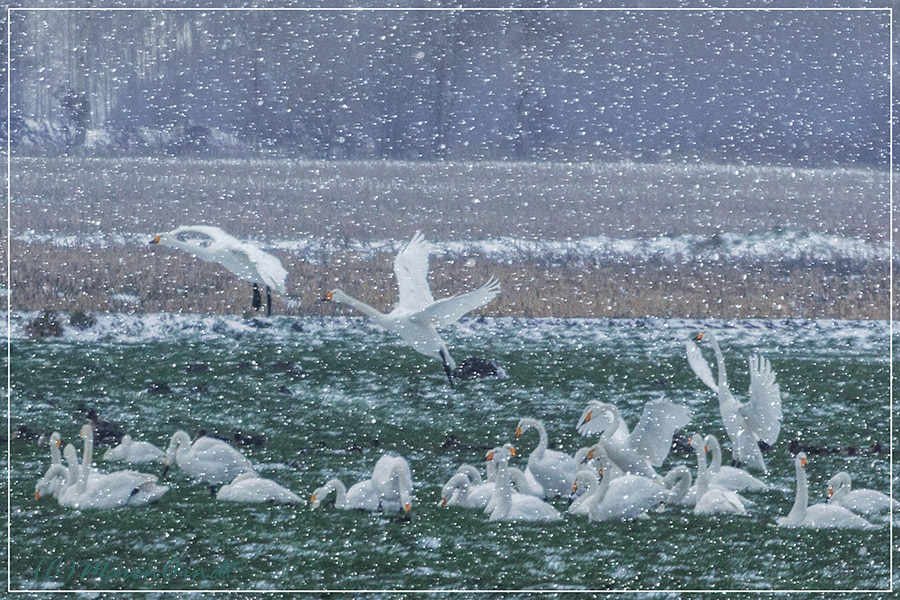 Wintereinbruch im Teufelsmoor