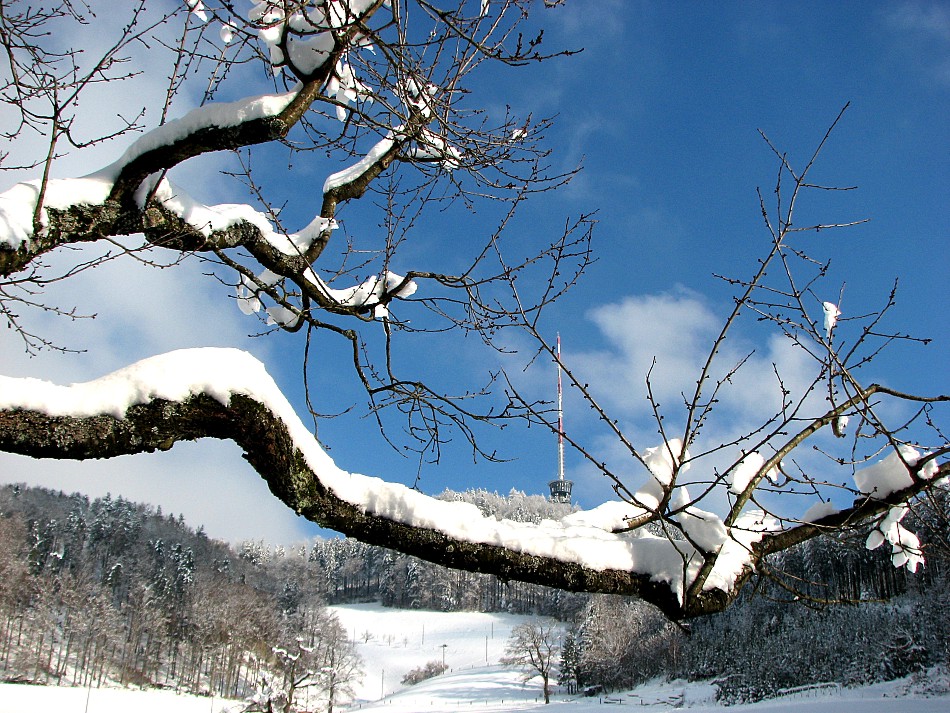 Wintereinbruch im Unterland