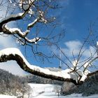 Wintereinbruch im Unterland