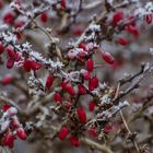 Wintereinbruch in Berlin