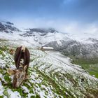 Wintereinbruch in den Alpen