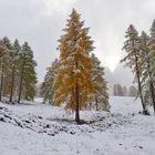 Wintereinbruch in den Bergen