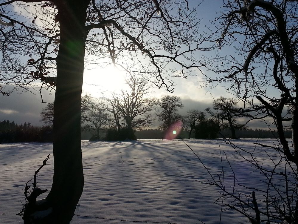 Wintereinbruch in der Eifel 2 (Roetgen)