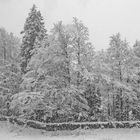 Wintereinbruch in der Naturparkregion Reutte