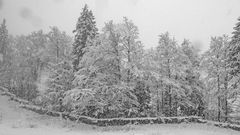 Wintereinbruch in der Naturparkregion Reutte