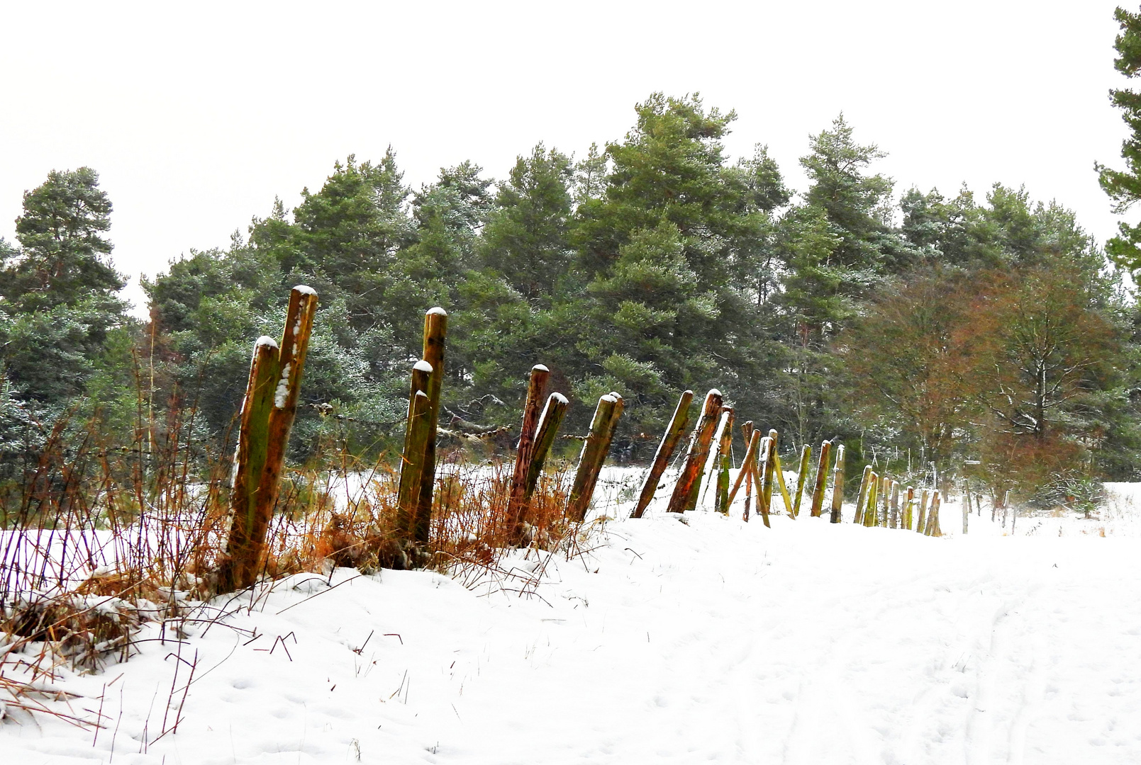 Wintereinbruch in der Nordeifel (bei Kall)