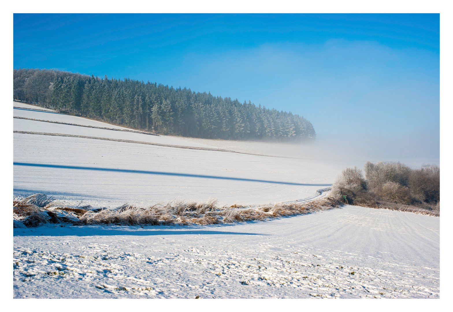 Wintereinbruch in der Pfalz