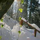 Wintereinbruch in der Ysperklamm