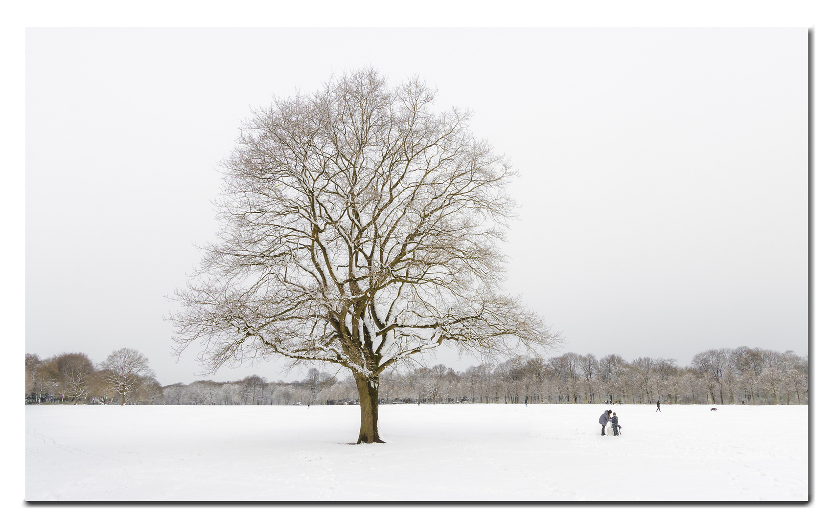 Wintereinbruch in Hamburch I (31.03.2022)