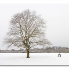 Wintereinbruch in Hamburch I (31.03.2022)