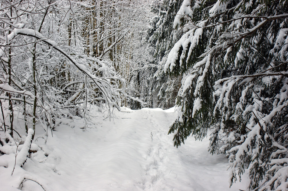 Wintereinbruch in Hemer 3