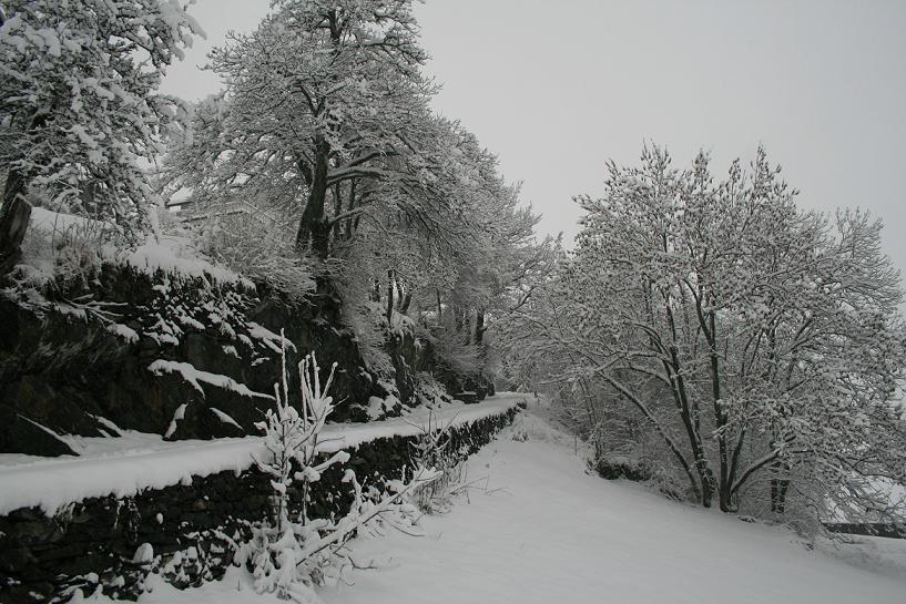 Wintereinbruch in Les Marécottes, Wallis, Schweiz