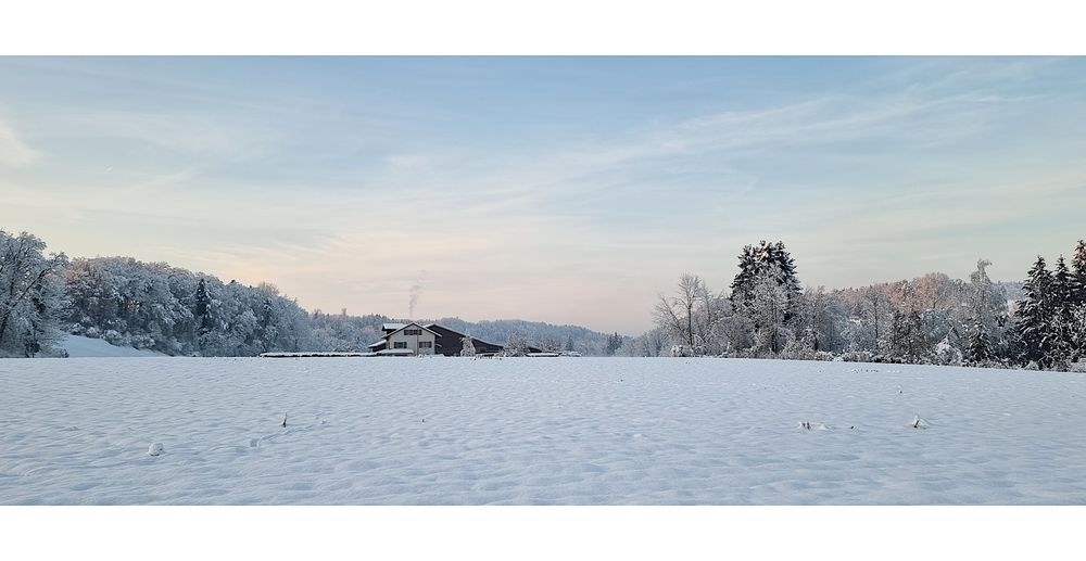 Wintereinbruch in Matzingen, II
