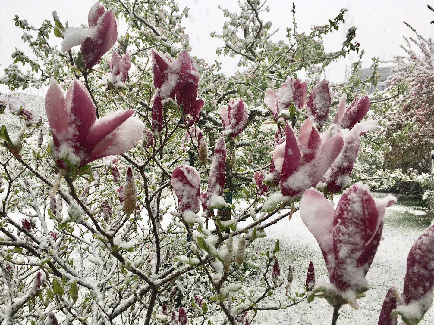 Wintereinbruch in münchen