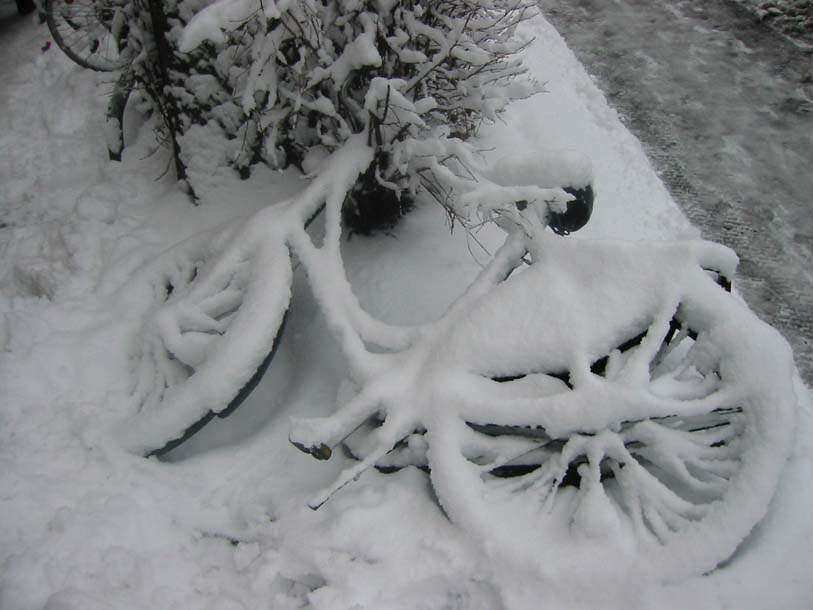 Wintereinbruch in München