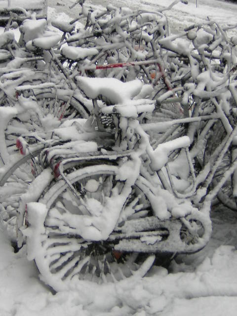 Wintereinbruch in Münster