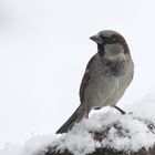 Wintereinbruch in Niedersachsen