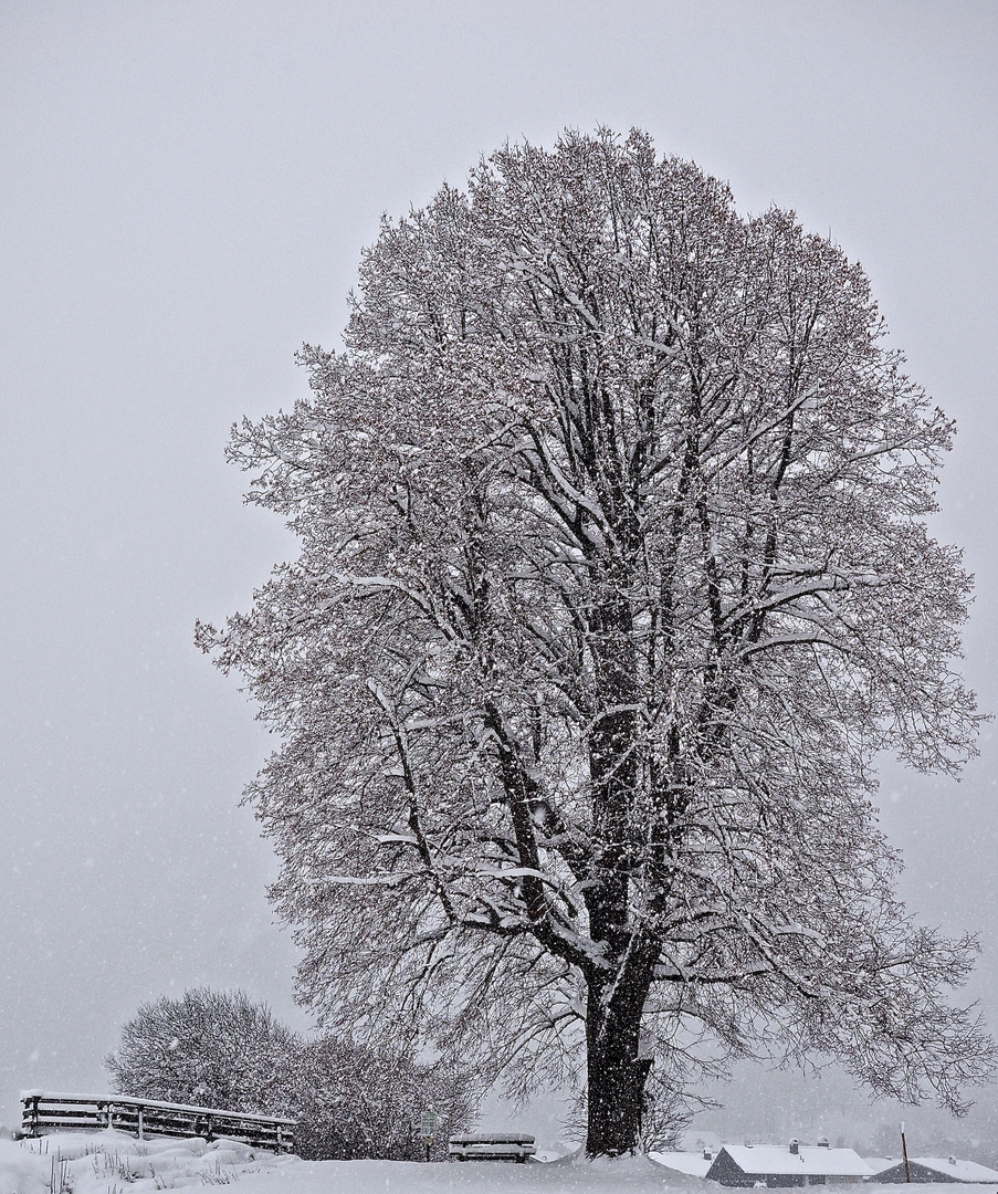 Wintereinbruch in Reit im Winkl