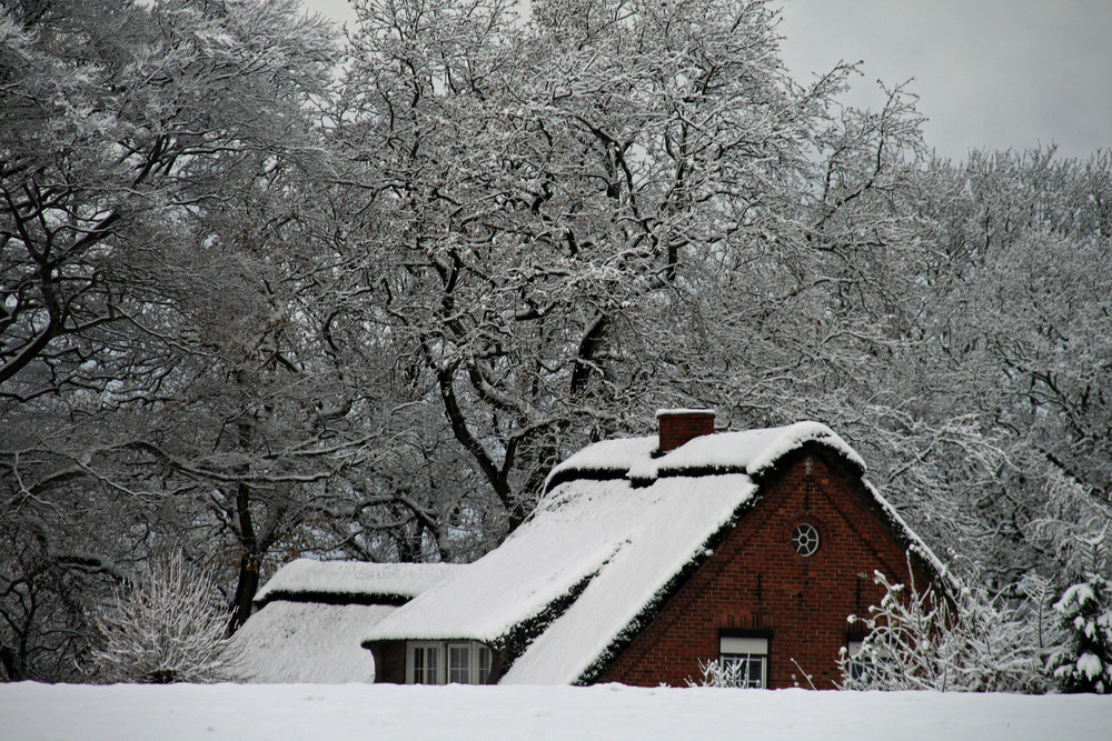 Wintereinbruch in Schwanewede