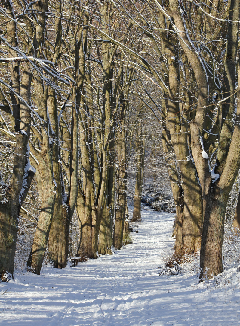 Wintereinbruch in Teterow 3