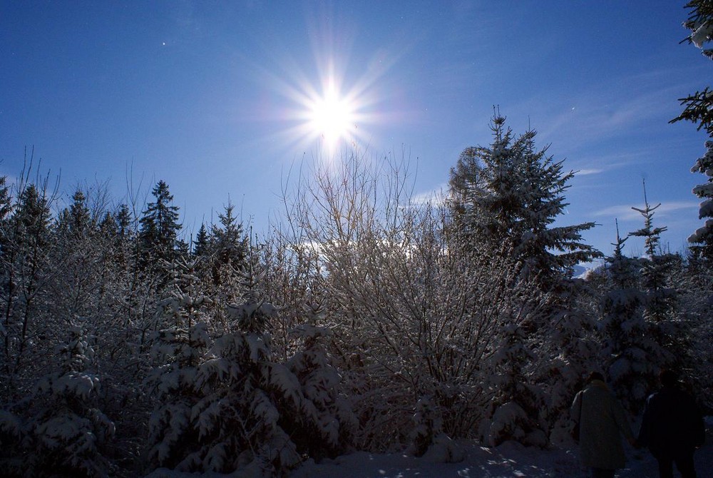 Wintereinbruch in Tirol