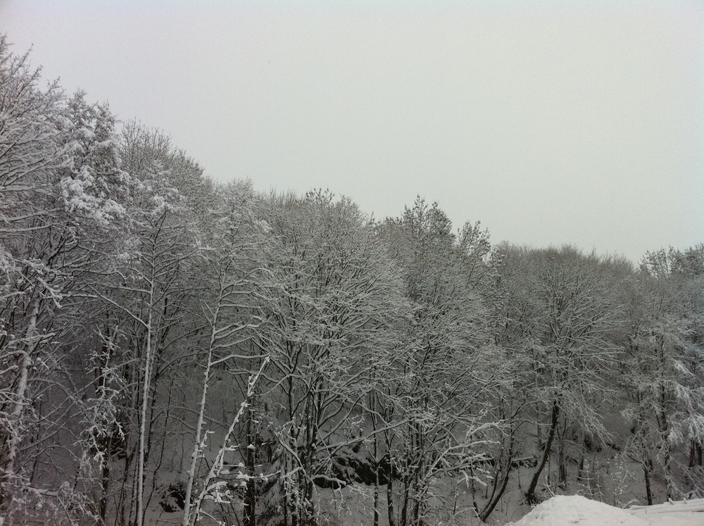 Wintereinbruch in Willingen (Upland) 24.11.2010