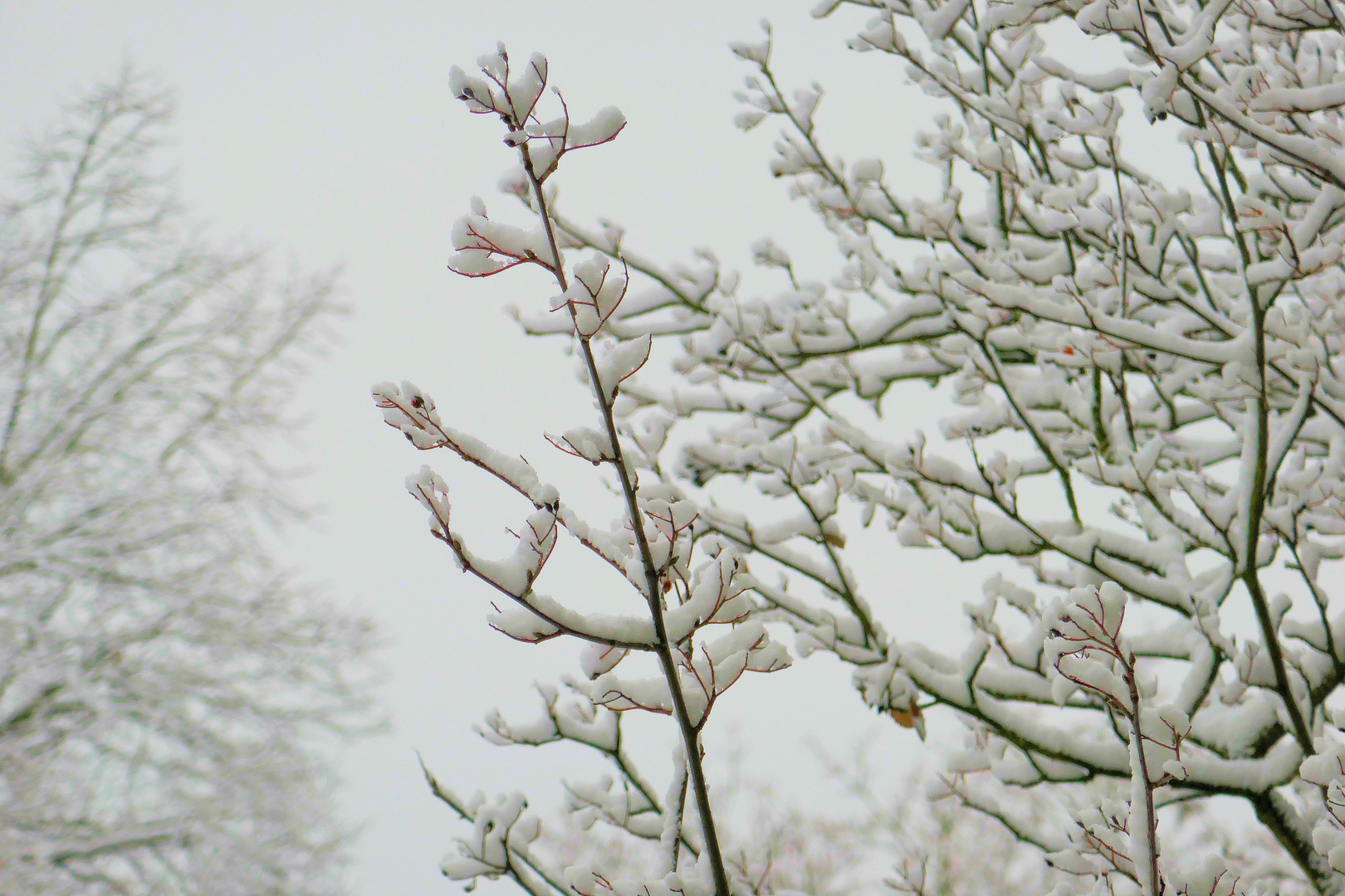 Wintereinbruch letzte Woche